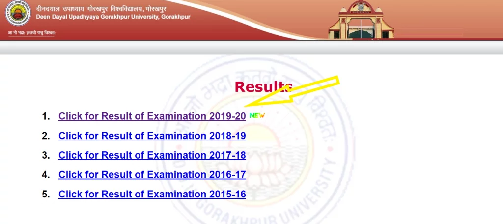 ddu-result-2020