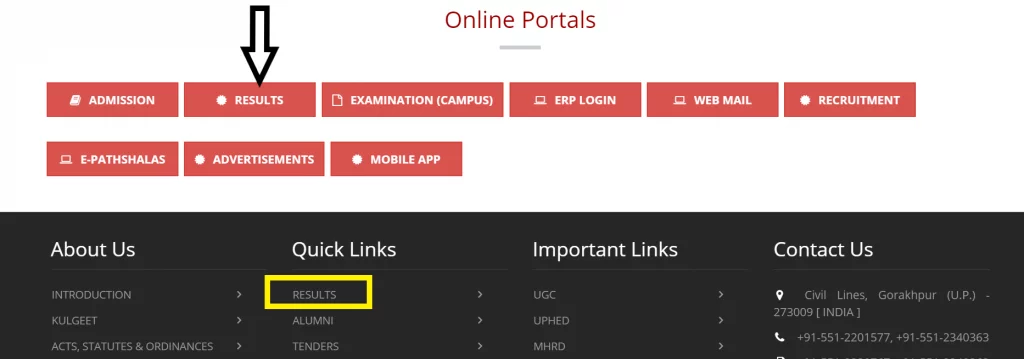 ddu-result-2020