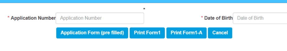 print-dl-application-form