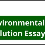 Environmental Pollution Essay