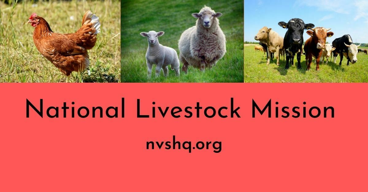 National Livestock Mission (NLM) 2022: Apply Online, Eligibility &  Implementation