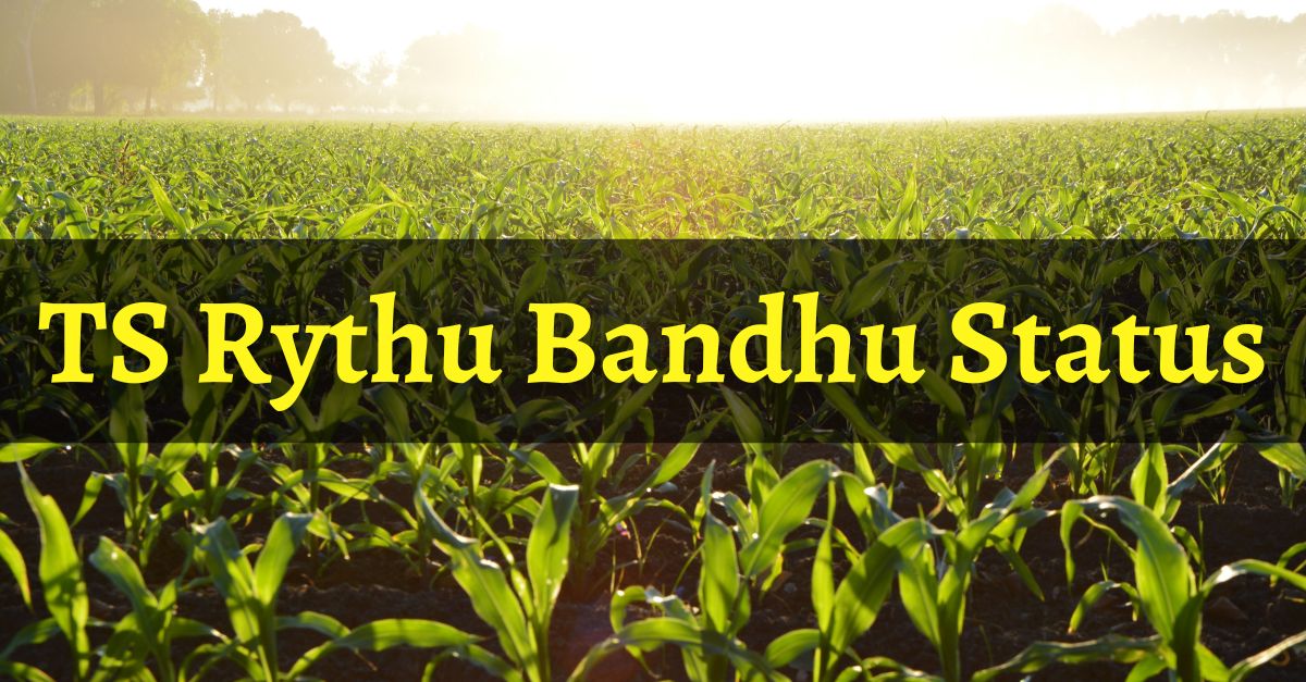 TS Rythu Bandhu Status 2024 రైతుబంధు పథకం Payment, Farmer List