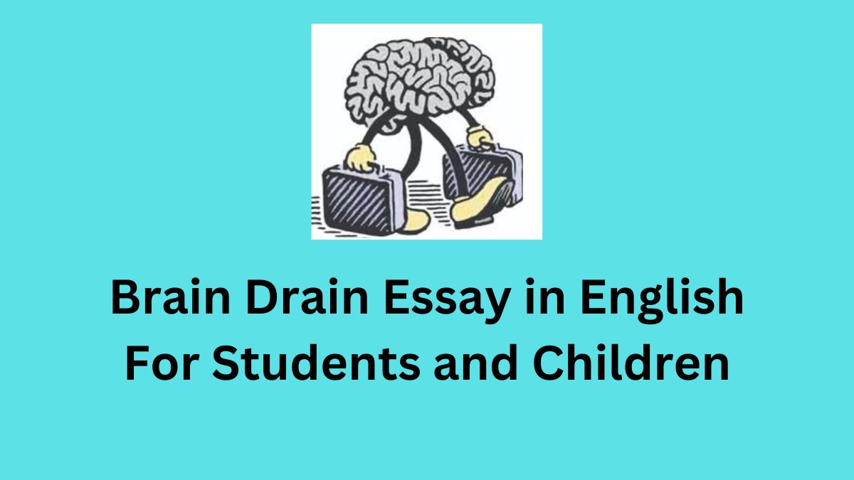 brain drain essay in english