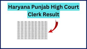 Haryana Punjab High Court Clerk Result
