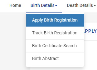 Tamil Nadu Apply Birth Registration Option