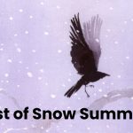 Dust of Snow Summary