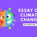 Essay on Climate Change