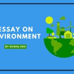 Essay on Environment