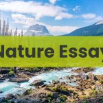 Nature Essay