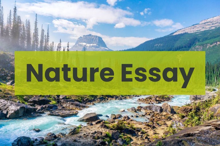 essay on beautiful nature