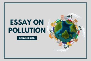 essay on pollution