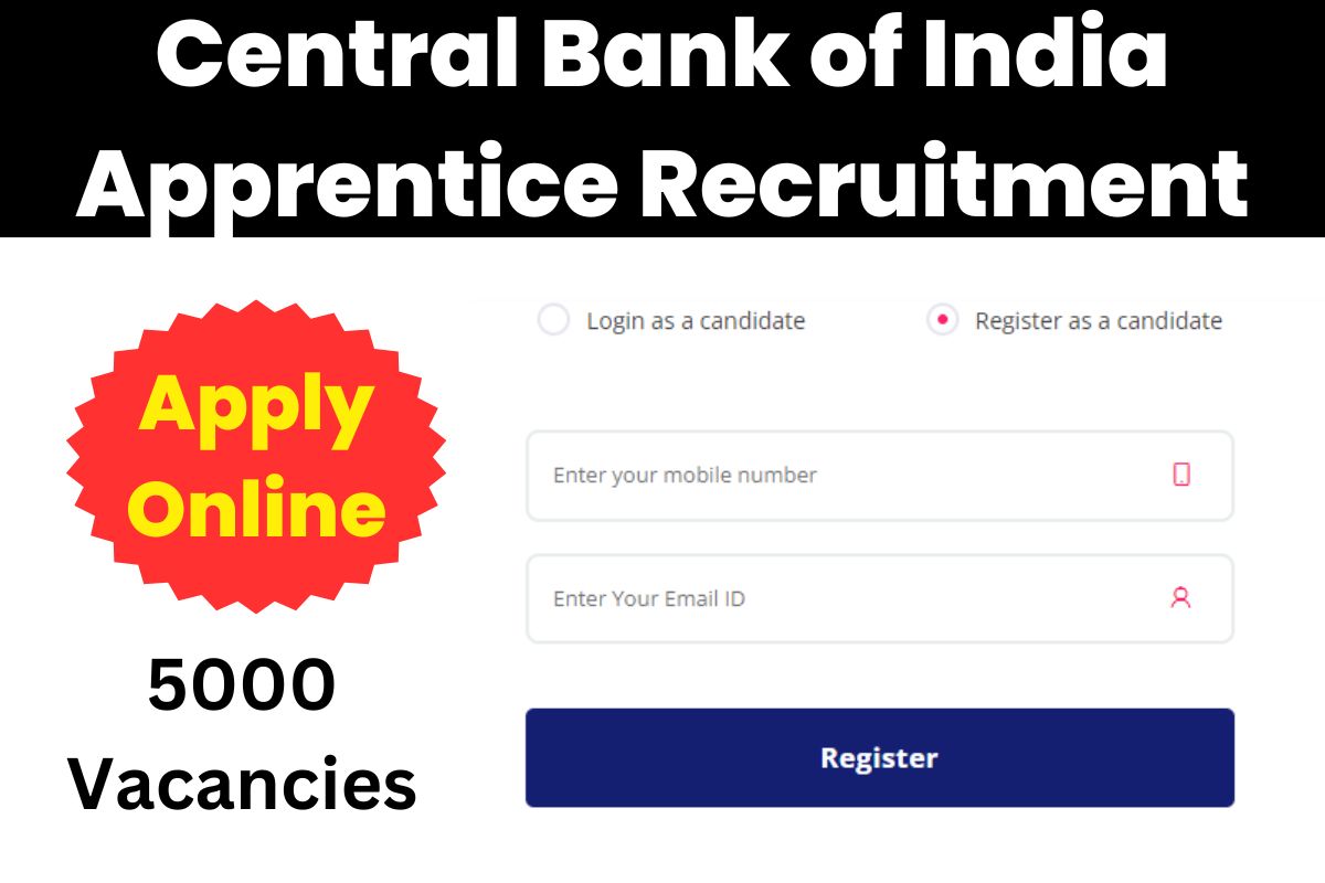 Central Bank Of India Apprentice Recruitment 2023 Open For 5000 Posts