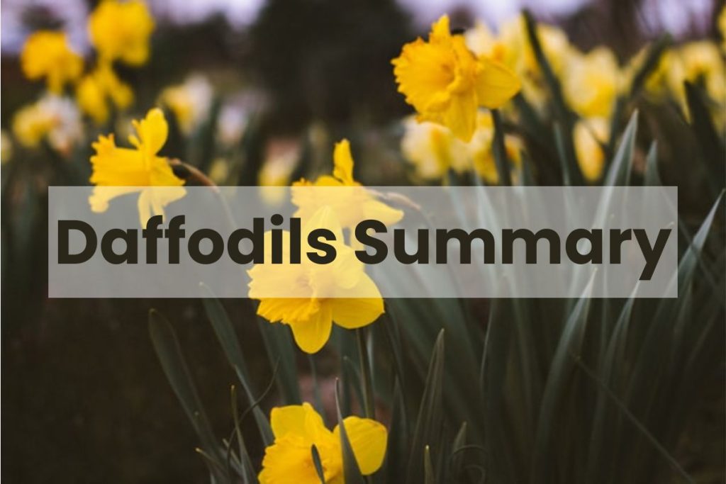 Daffodils Summary