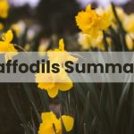 Daffodils Summary