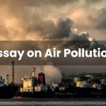 Essay on Air Pollution