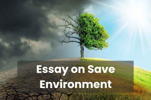 essay on save our environment