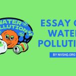 Essay on Water Pollution