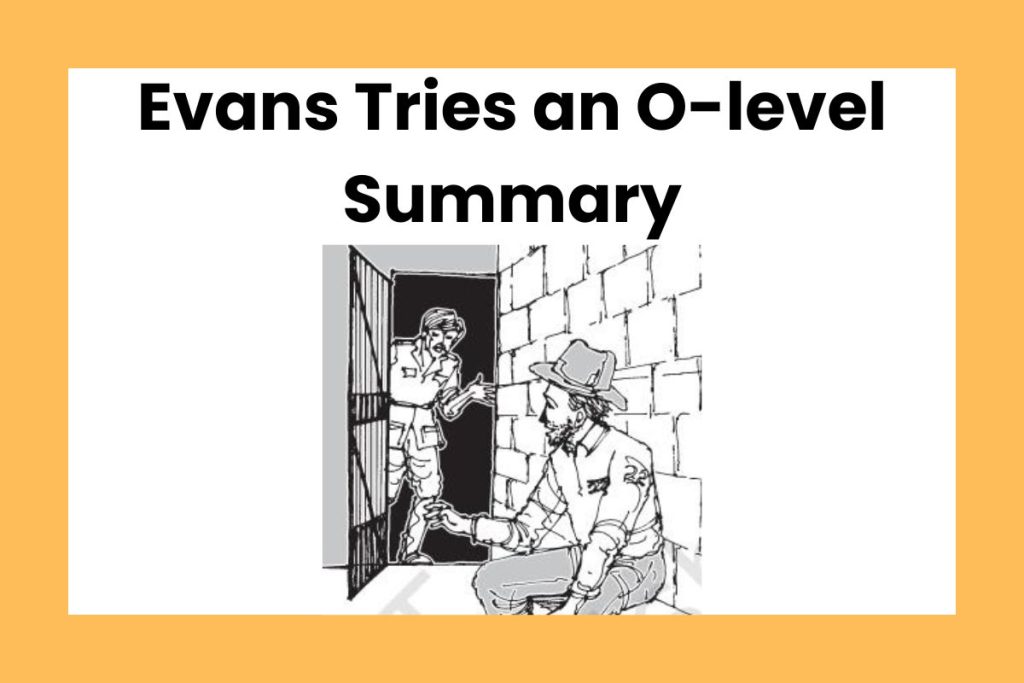 Evans Tries an O-level Summary