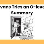 Evans Tries an O-level Summary