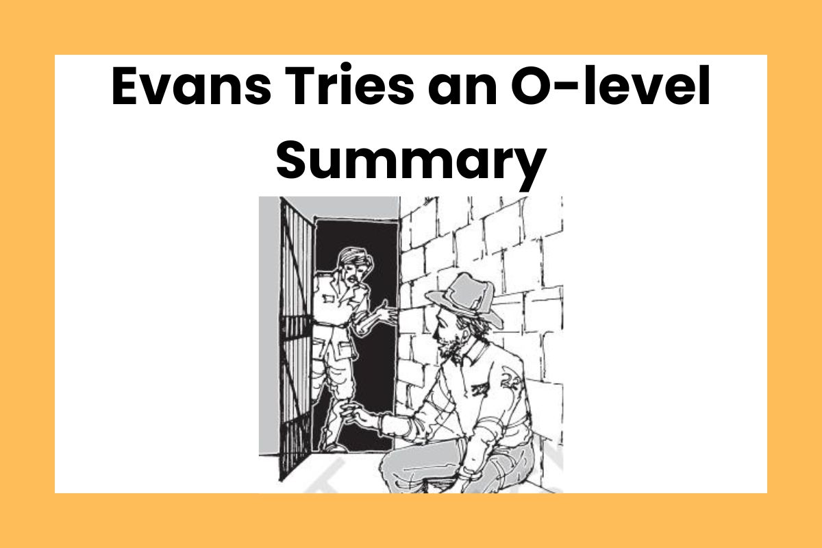 evans-tries-an-o-level-summary-class-12-english-here