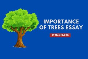 essay on tree for class 4