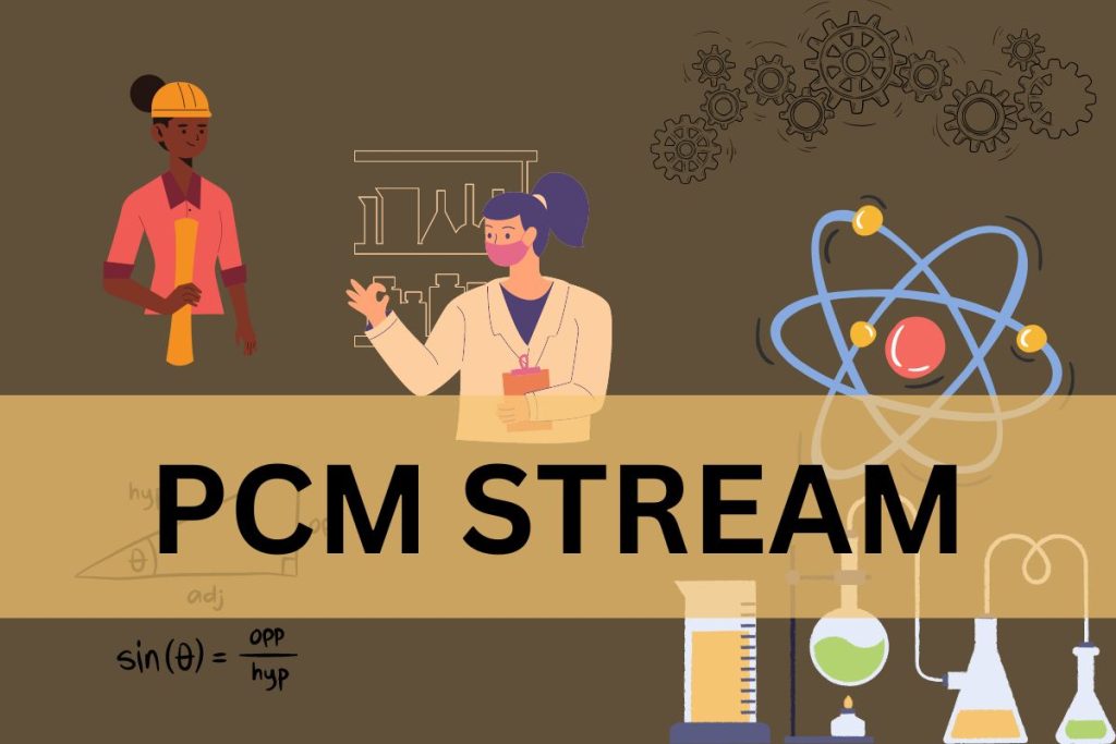 PCM Stream