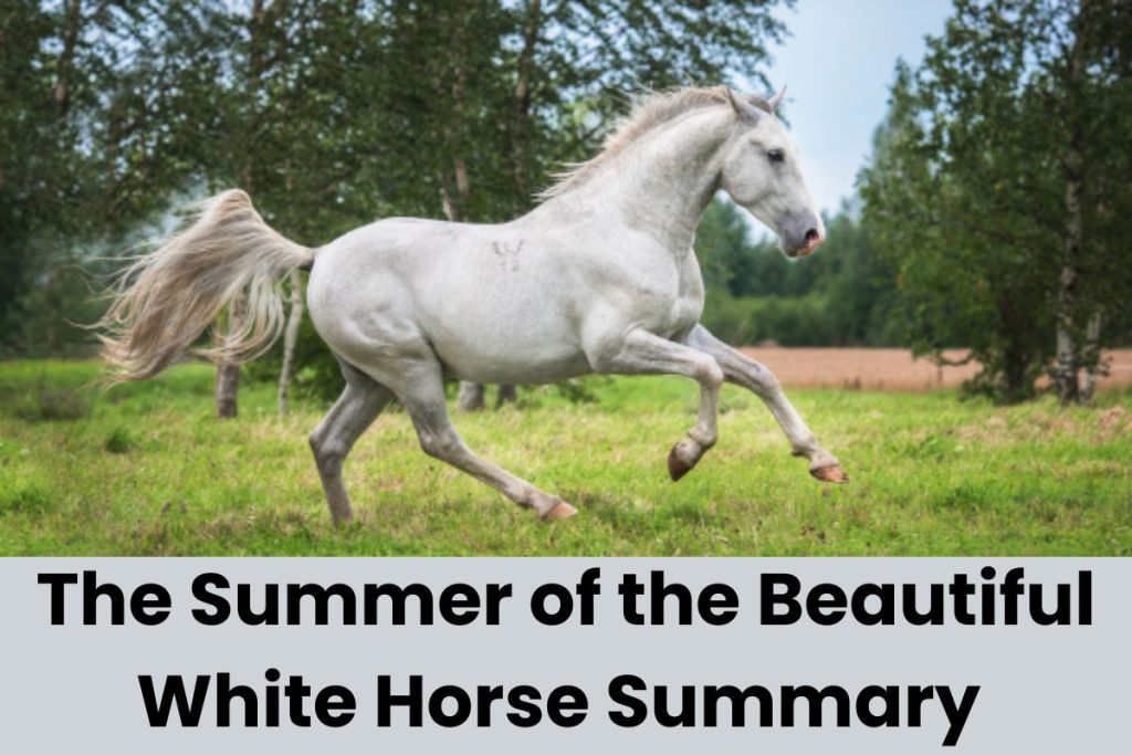 The Summer of the Beautiful White Horse Summary
