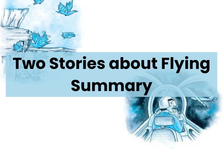 Two Stories About Flying Summary Class 10 English Exam Cbse 3493