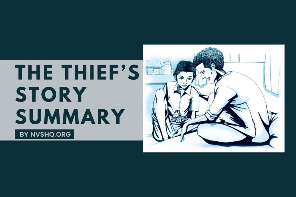 The Thief’s Story Summary