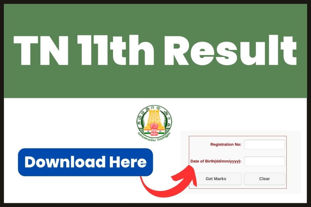 TN 11th Result 2023