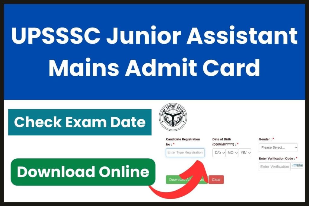 UPSSSC Junior Assistant Mains Admit Card 2023