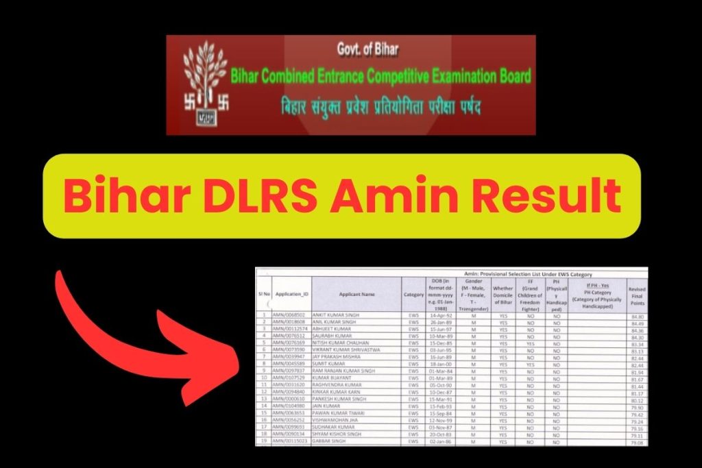 Bihar DLRS Amin Result