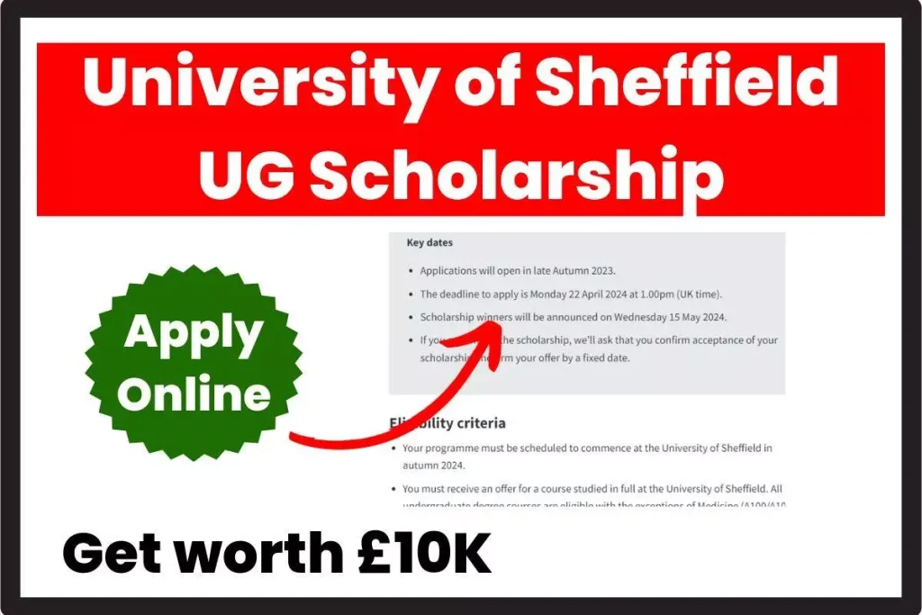 University of Sheffield UG Scholarship