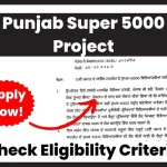 Punjab Super 5000 Project