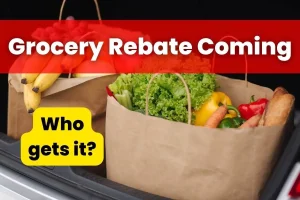Grocery Rebate Coming in March 2024 - When is it coming, and Who gets it?
