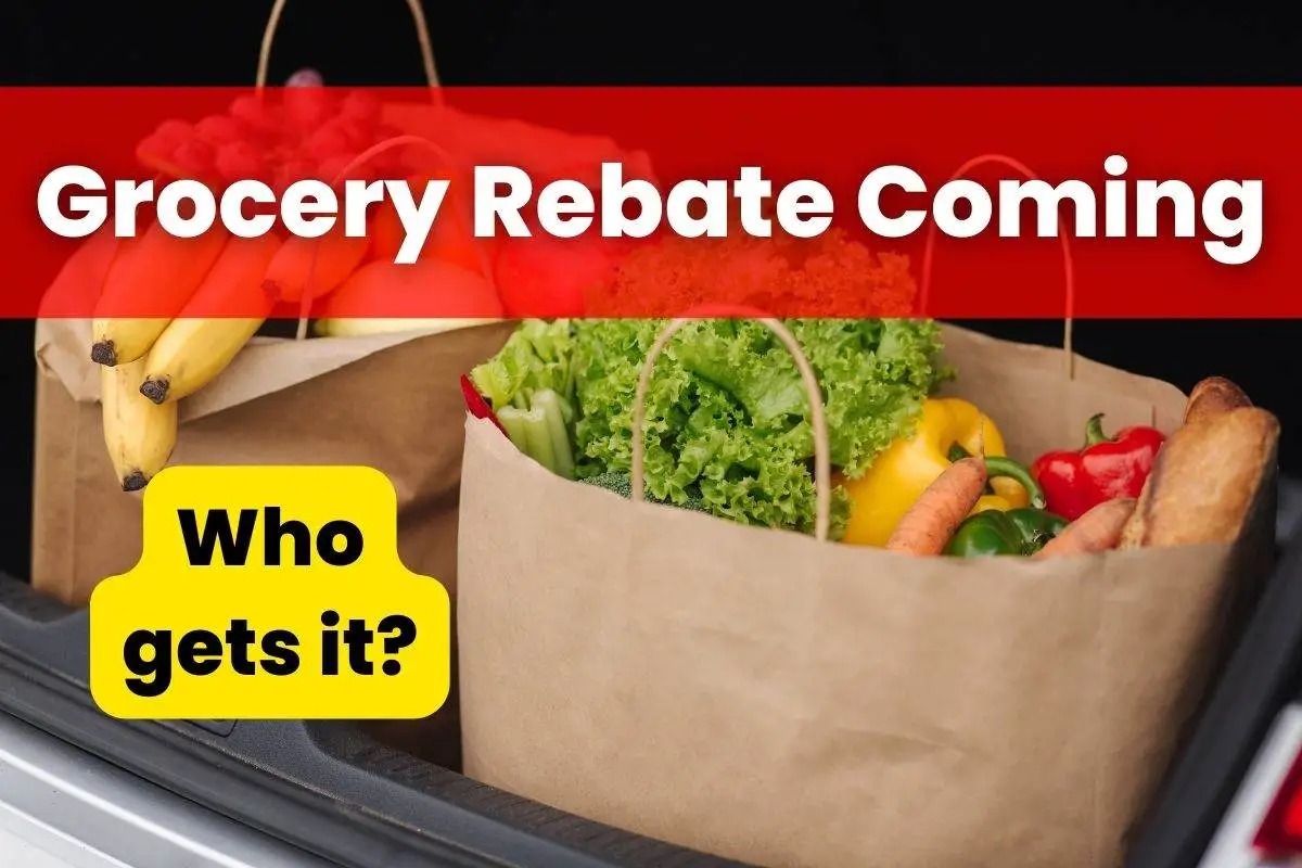 Grocery Rebate Coming in March 2024 When is it coming, and Who gets it?